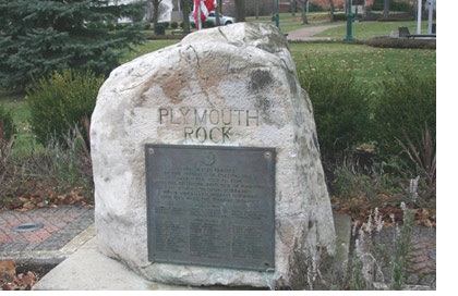 Plymouth Michigan Real Estate
